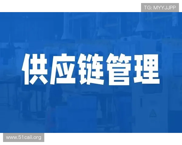天博国际物流：专业高效的全球供应链解决方案